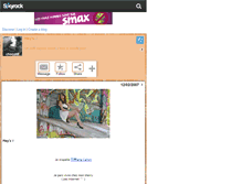 Tablet Screenshot of chocotif.skyrock.com