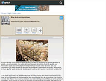 Tablet Screenshot of brand-top-shoes.skyrock.com