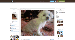 Desktop Screenshot of malidogs.skyrock.com