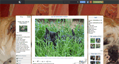 Desktop Screenshot of desper26-monbulldamour.skyrock.com