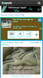 Mobile Screenshot of equi-porte.skyrock.com