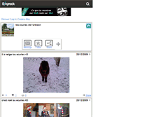 Tablet Screenshot of ecuriesdelarbizon.skyrock.com