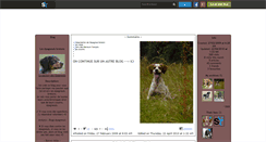 Desktop Screenshot of la-passion-des-epagneuls.skyrock.com