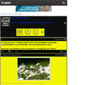 Tablet Screenshot of anti--plagiat.skyrock.com