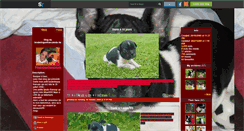 Desktop Screenshot of bouledoguefrancaisdarla.skyrock.com