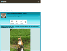 Tablet Screenshot of amstaff-caila.skyrock.com