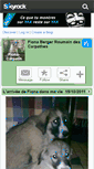 Mobile Screenshot of fiona-carpatin.skyrock.com