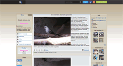 Desktop Screenshot of diamond-dove.skyrock.com