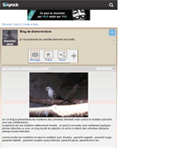 Tablet Screenshot of diamond-dove.skyrock.com