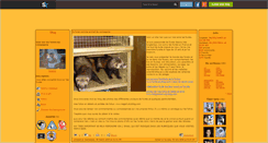 Desktop Screenshot of furet11.skyrock.com