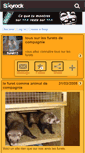 Mobile Screenshot of furet11.skyrock.com