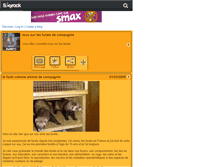 Tablet Screenshot of furet11.skyrock.com