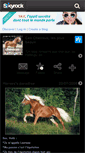 Mobile Screenshot of chevaux-haflingers.skyrock.com