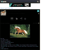 Tablet Screenshot of chevaux-haflingers.skyrock.com