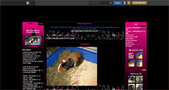 Desktop Screenshot of cochonsdinde44.skyrock.com