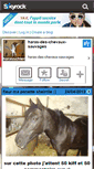 Mobile Screenshot of harasschleish.skyrock.com