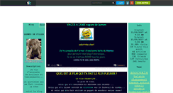 Desktop Screenshot of larmesdefilles.skyrock.com