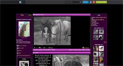 Desktop Screenshot of lilihorse11.skyrock.com