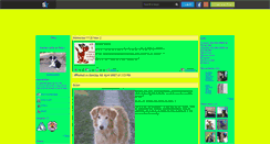 Desktop Screenshot of bordercollie1.skyrock.com