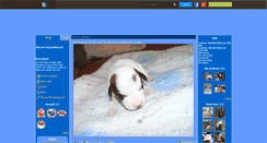 Desktop Screenshot of flagjackrussell.skyrock.com