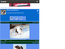 Tablet Screenshot of flagjackrussell.skyrock.com