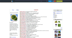 Desktop Screenshot of forme-tisane974.skyrock.com