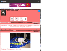 Tablet Screenshot of bulldog-french.skyrock.com