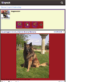 Tablet Screenshot of dogpassion49.skyrock.com