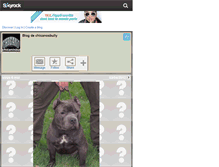 Tablet Screenshot of chicanosbully.skyrock.com