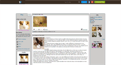 Desktop Screenshot of cobay-cochon-inde.skyrock.com