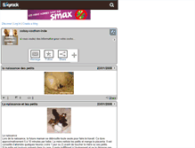 Tablet Screenshot of cobay-cochon-inde.skyrock.com