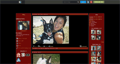 Desktop Screenshot of bullterrier59.skyrock.com