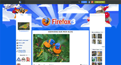 Desktop Screenshot of mesoiseaux974.skyrock.com