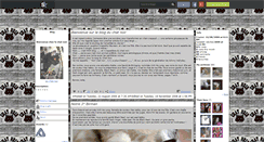 Desktop Screenshot of du-chat-noir.skyrock.com