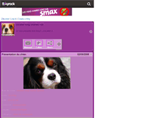 Tablet Screenshot of cavalierkingcharles77.skyrock.com