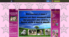 Desktop Screenshot of chien-en-vue.skyrock.com