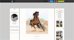 Desktop Screenshot of cheval-photos.skyrock.com