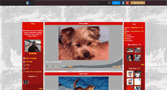 Desktop Screenshot of basiledu89.skyrock.com