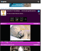 Tablet Screenshot of catsandco.skyrock.com
