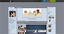 Desktop Screenshot of massage-canin.skyrock.com