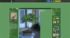 Desktop Screenshot of bonsai60.skyrock.com