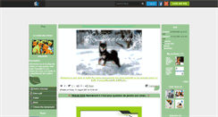 Desktop Screenshot of dog-center.skyrock.com