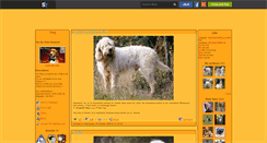 Desktop Screenshot of chien-de-race.skyrock.com
