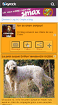 Mobile Screenshot of chien-de-race.skyrock.com