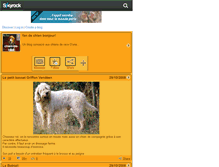 Tablet Screenshot of chien-de-race.skyrock.com