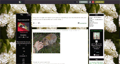 Desktop Screenshot of mimis-pets-xd.skyrock.com