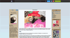 Desktop Screenshot of kiwiizzleferret.skyrock.com