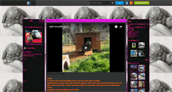 Desktop Screenshot of le-paradis-des-lapinoux.skyrock.com