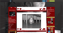 Desktop Screenshot of juju1254.skyrock.com