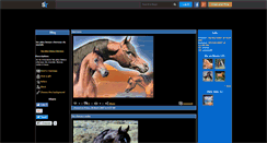 Desktop Screenshot of les-plus-beau-chevaux.skyrock.com